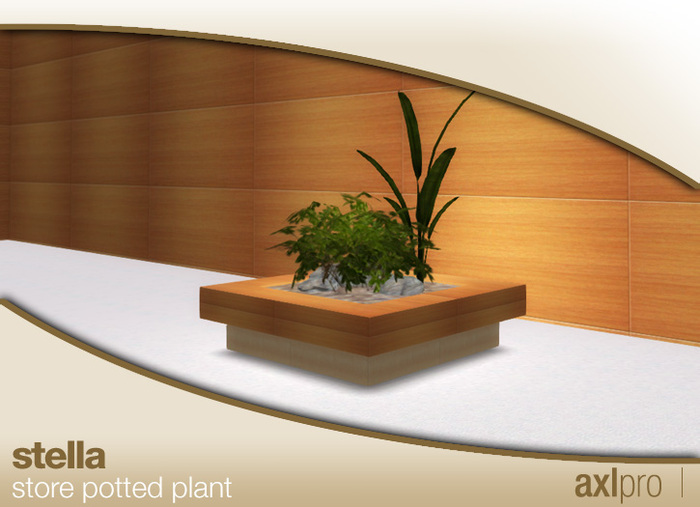 AXL pro box - Stella Store Potted Plant