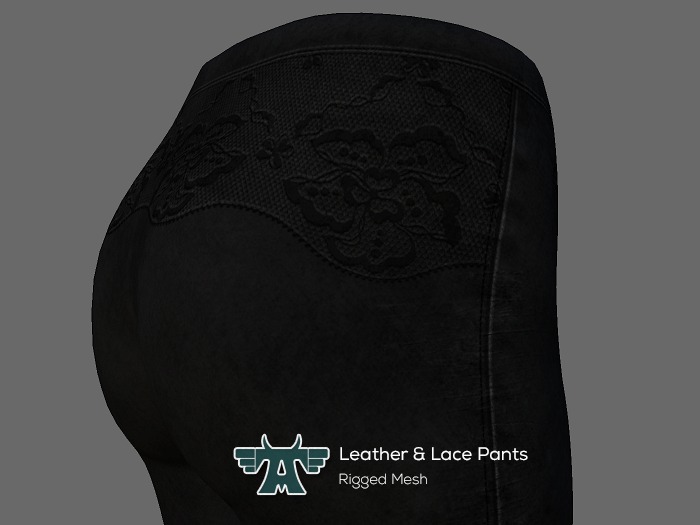 Twisted Angels - Leather & Lace Pants - DEMO