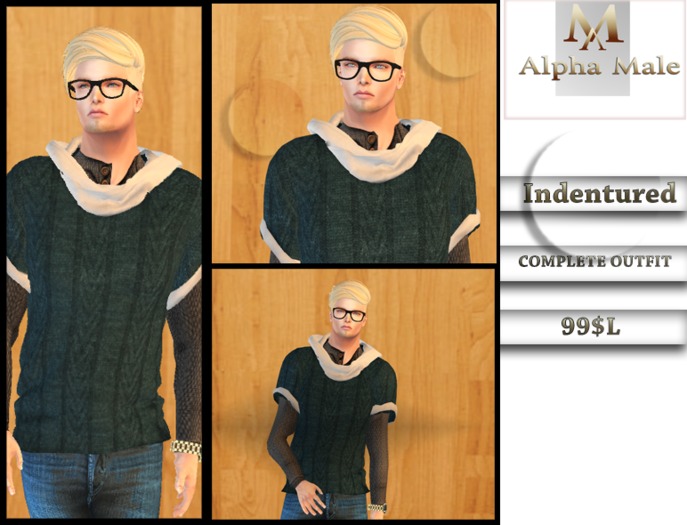 Alpha Male : Indentured
