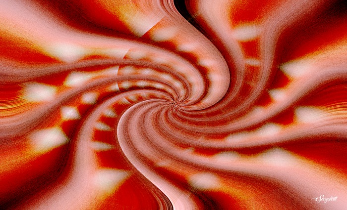 Spaghetti Picture: (8) spiral octopus