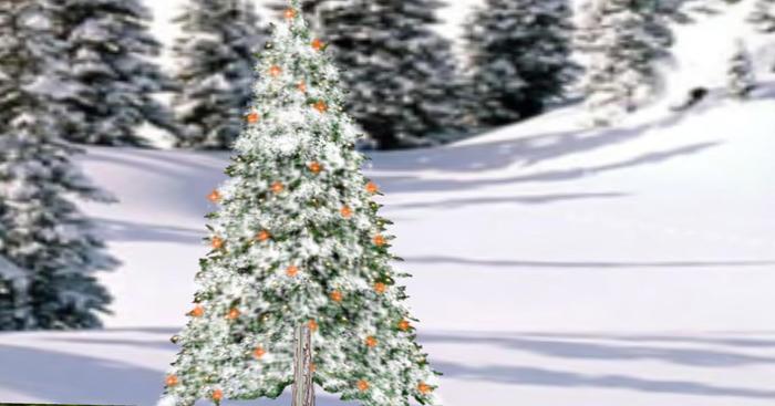 Orange Twinkling Tree