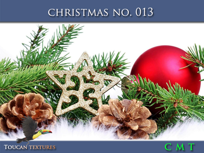 [Toucan Textures] Christmas No. 013