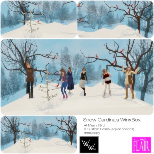 W. Winx/Flair - WinxBox - BICO - Snow Cardinals   *Updated*