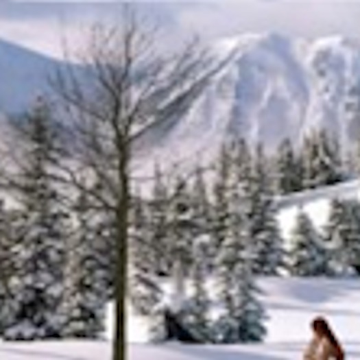 Winter Tree 7