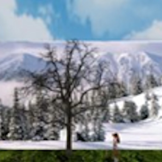 Winter Tree 6