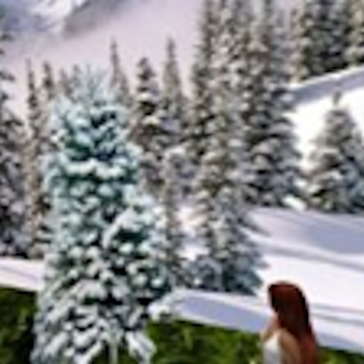 Snowy Pine Tree4