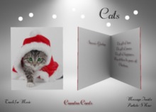 Christmas Card Cats
