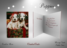 CC - Christmas Card 2 - Cats