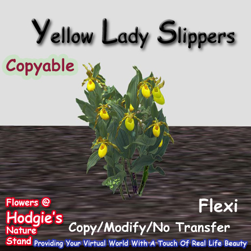Hodgie's Flowers & Plants  --  Yellow Lady Slippers (Flexi) Plant (COPYABLE) 