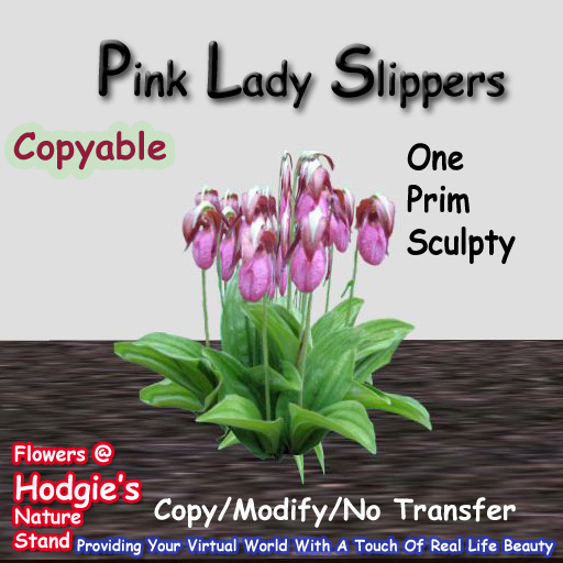 Hodgie's Flowers & Plants  --  Pink Lady Slipper (One Prim Plant)(One Prim Sculpty)(COPYABLE)