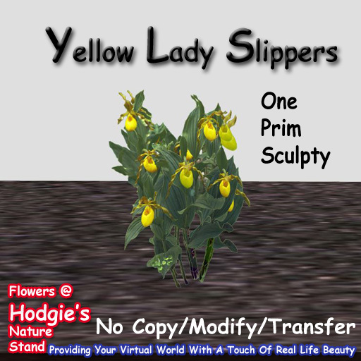 Hodgie's Flowers & Plants  --  Yellow Lady Slipper  (One Prim Plant)(One Prim Sculpty)