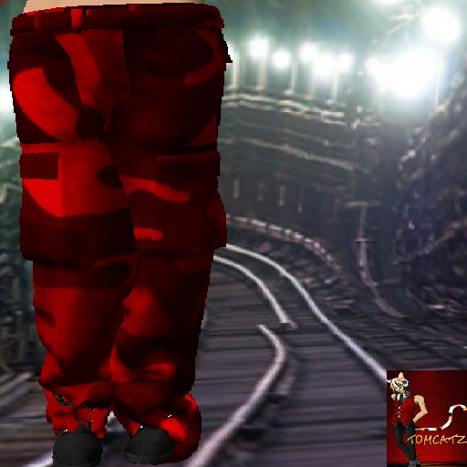 ::.TC.:: Camo Cargo Pants RED