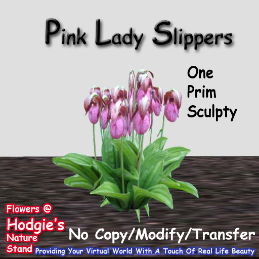Hodgie's Flowers & Plants  --  Pink Lady Slipper (One Prim Plant)(One Prim Sculpty)