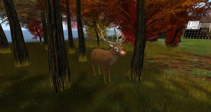 AD Rudolph Deer [1 Prim]