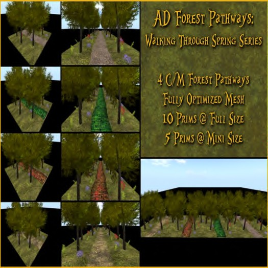 AD Forest Pathway Walking Through Exotica Series