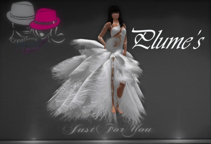 plume's
