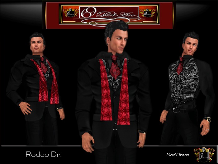 69 Park Ave GQ "Rodeo Dr. " Formal - Mesh