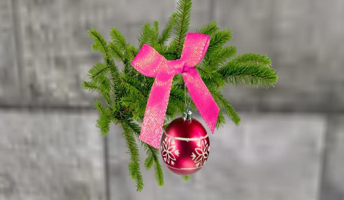 Pretty N Pink Hanging