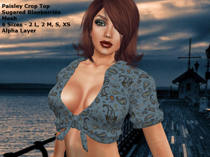 Paisley Sugared Blueberries Crop Top