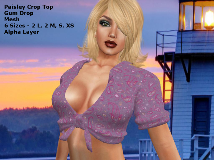 Paisley Gum Drop Crop Top