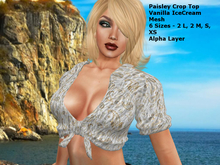 Paisley Vanilla Ice Cream Crop Top