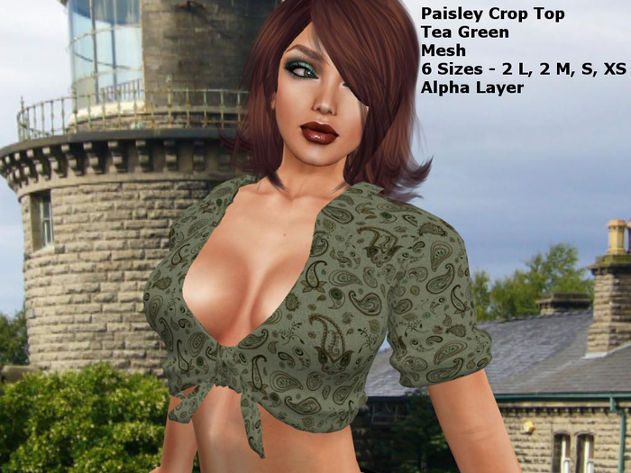 Paisley Tea Green Crop Top