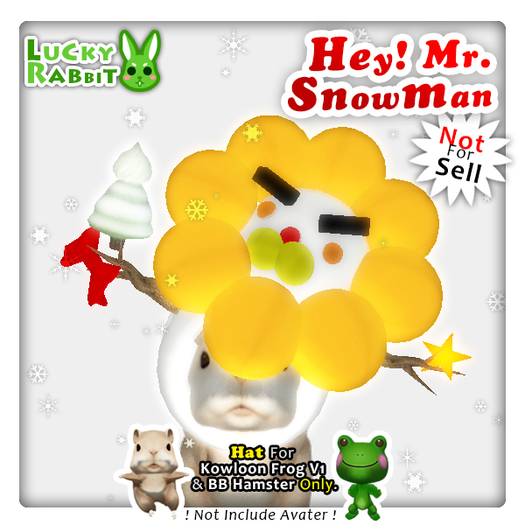 {L.R} GIFT ! Mr.Snowman Hat for Ham - Sweet Donuts