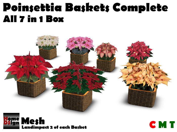 HDs-Poinsettia Basket Complete Box 