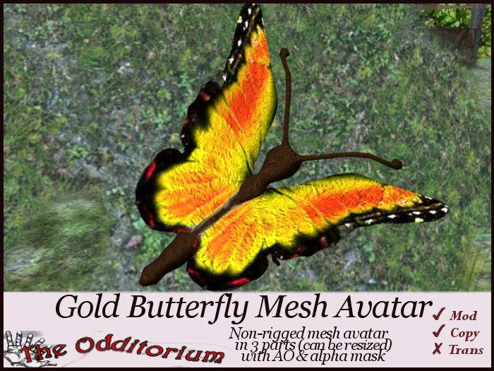 Odd Butterfly