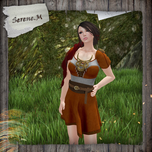 .: Serene.M :.  Ruth Dress _Brown