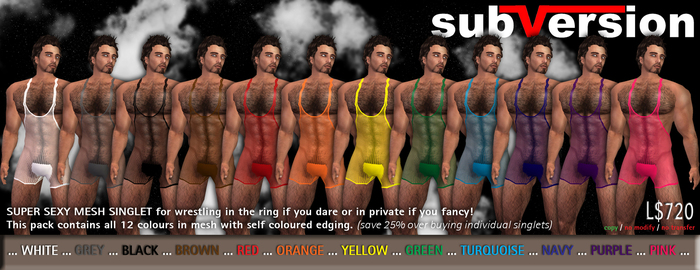 .~subVersion~. C-thru Singlet - 12-pack mesh