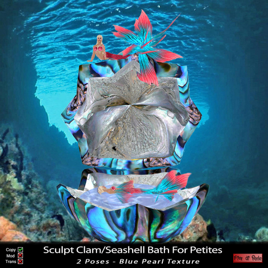 Sculpted Natural Seashell/Clam Bath - With Pose & Water Sound