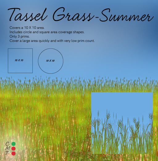 Adjunct Garden - Tassel Grass - Winter