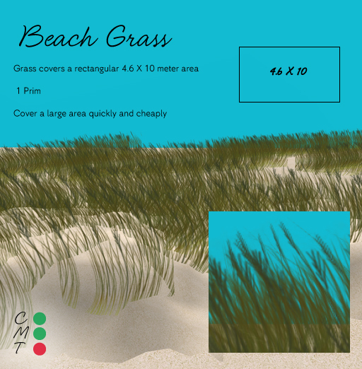Adjunct Garden - Beach Grass