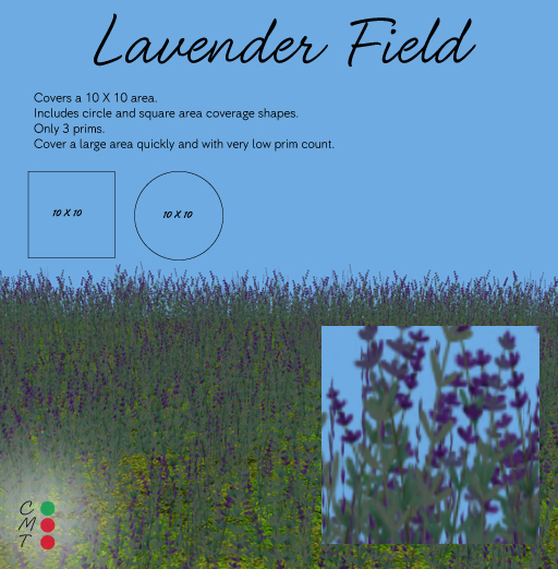 Adjunct Garden - Lavender Field
