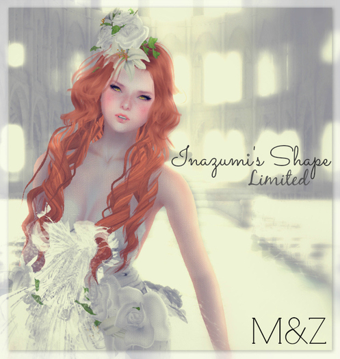 **Mafalda's** - Inazumi's Shape