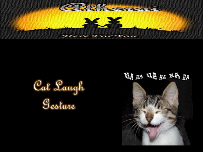 the cat laugh
