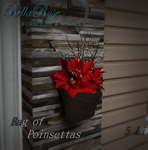 Bellarose Bag Planter / Poinsettas