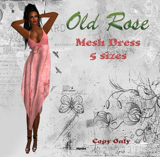 Old Rose Mesh Dress