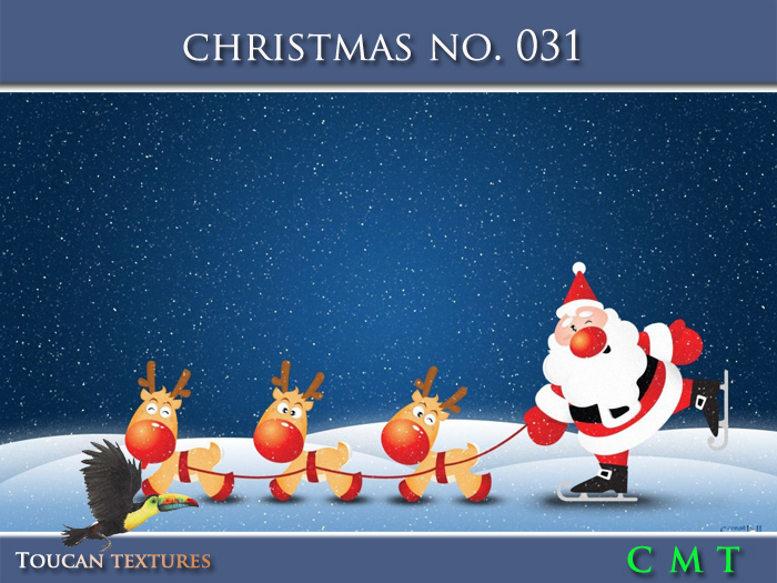 [Toucan Textures] Christmas No. 031