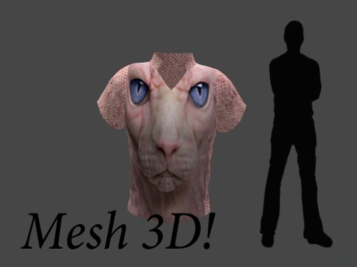 Hairless Pussycat Face