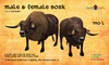 Bosk ad