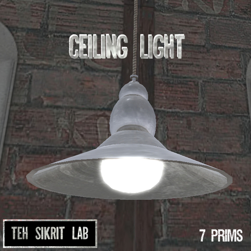 Ceiling Light 
