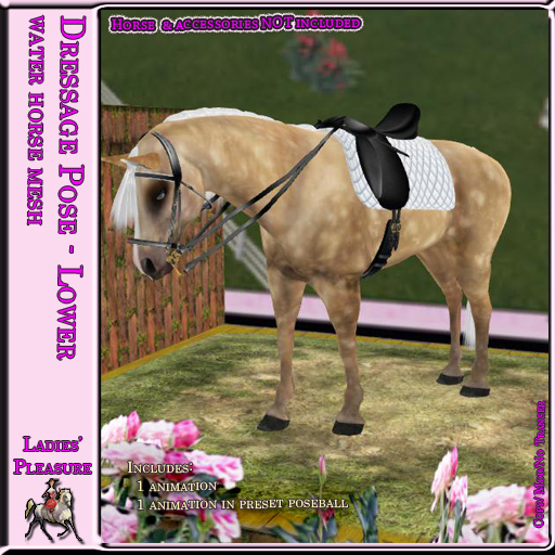 ~LP~ WH Pose - Boxed - Dressage Stance 