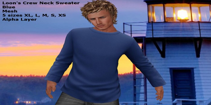 Loon's Crew Neck Sweater  Blue  