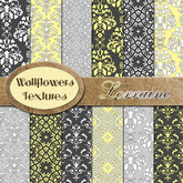 *Wallflowers* Lorraine