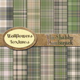 *Wallflowers* The Shabby Lumberjack