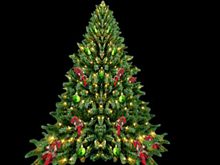 ANIMATED SPARKLING CHRISTMAS TREE (31)
