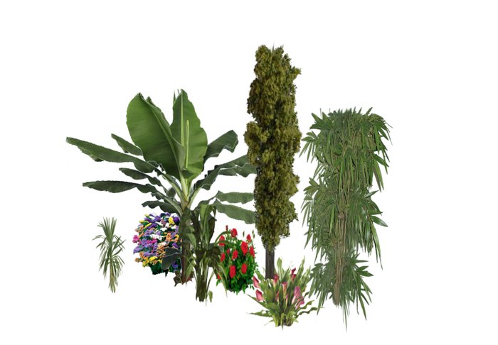 free plants