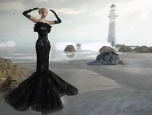 SAS - Eliemee Black Gown (50% mesh)
